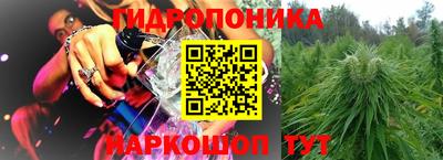 прущие крисы Бийск