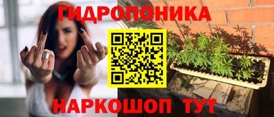 прущие крисы Бийск