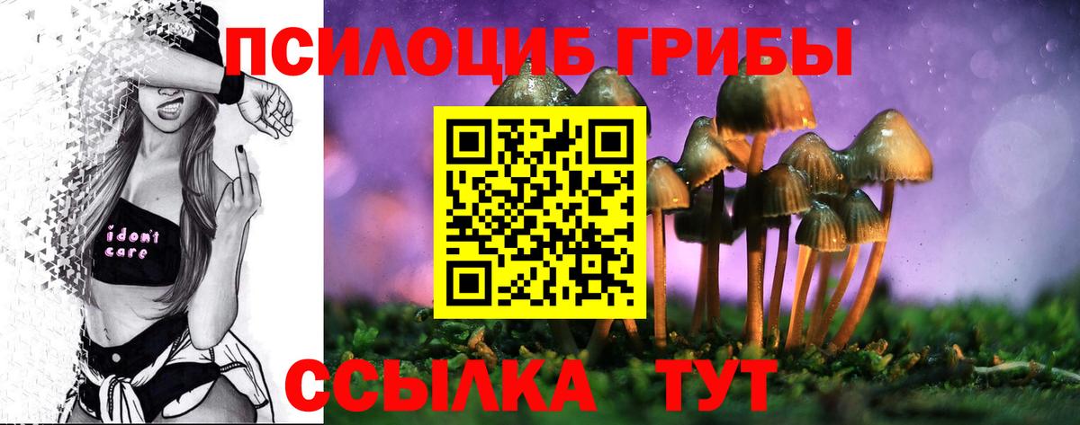 Псилоцибиновые грибы мухоморы Ковров